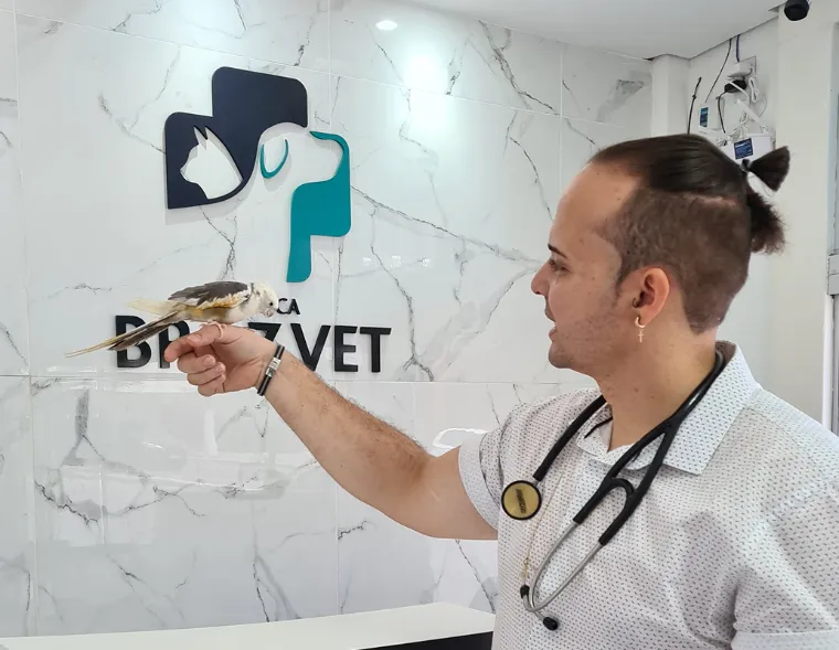 Dr. Gabriel Braz com uma calopsita na mão, na recepção da Braz Vet